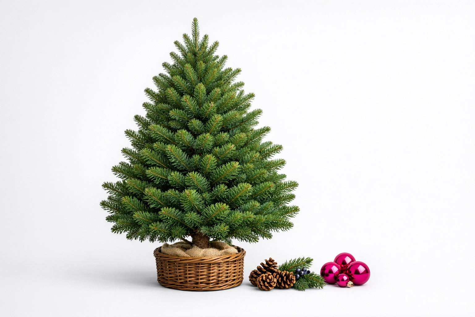 Alberi naturali