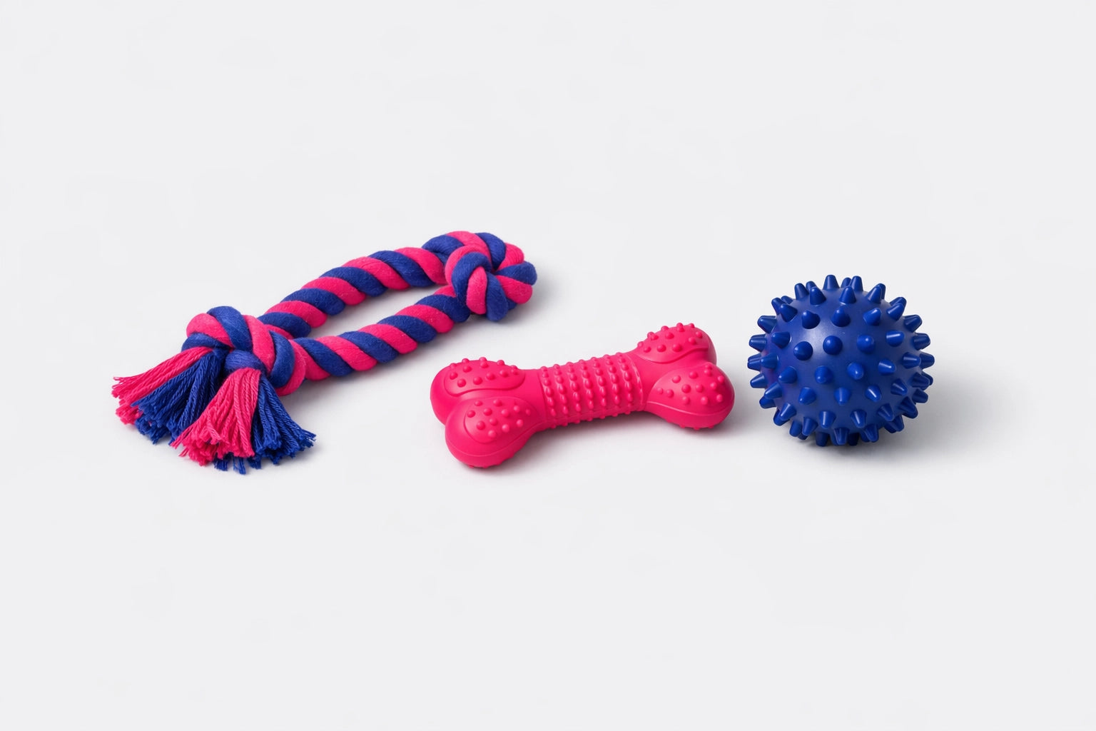 Giochi da mordere per cani
