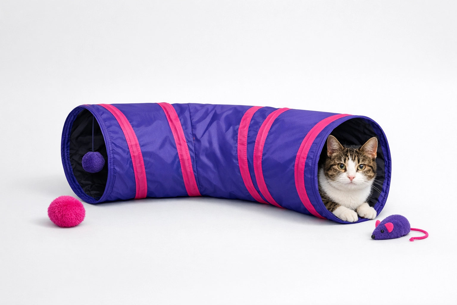 Tunnel per gatti