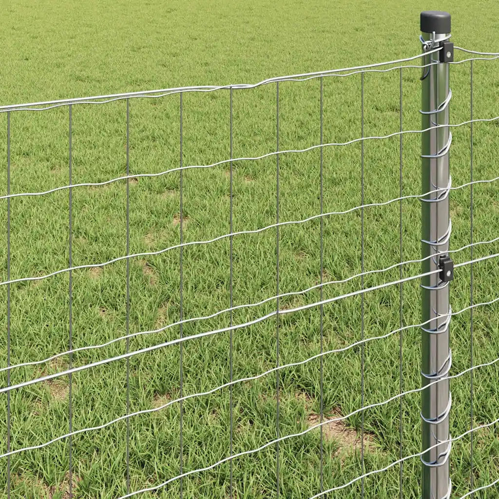 Recinzione da Giardino | Recinzione Euro 0,8 x 10 m Ferro rivestito in PVC