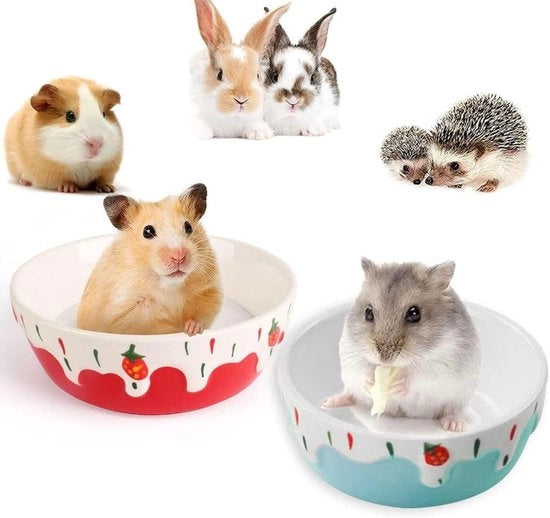 Due piatti di cibo in ceramica per conigli da giardino in forma di coniglio per hamster e desert race - rosso e blu