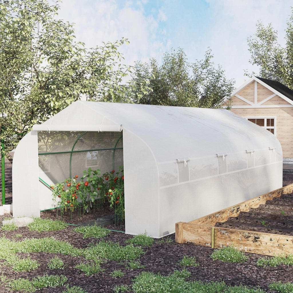 EasyComfort Serra per Orto 6x3x2m con 8 Finestre e Porta Avvolgibile, in Acciaio e PP, Verde