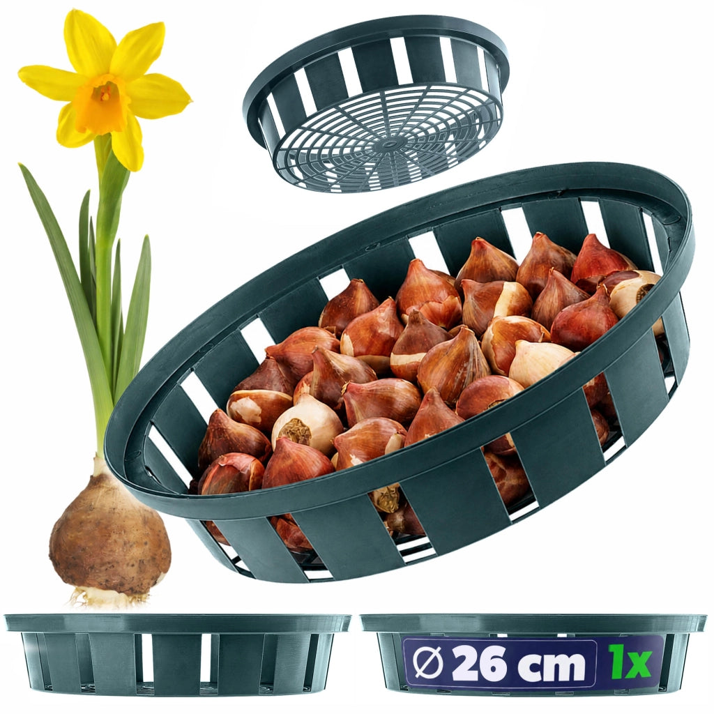 Cestino KADAX per bulbi, bulbi da fiore, tulipani, coperture per piante, 22 cm