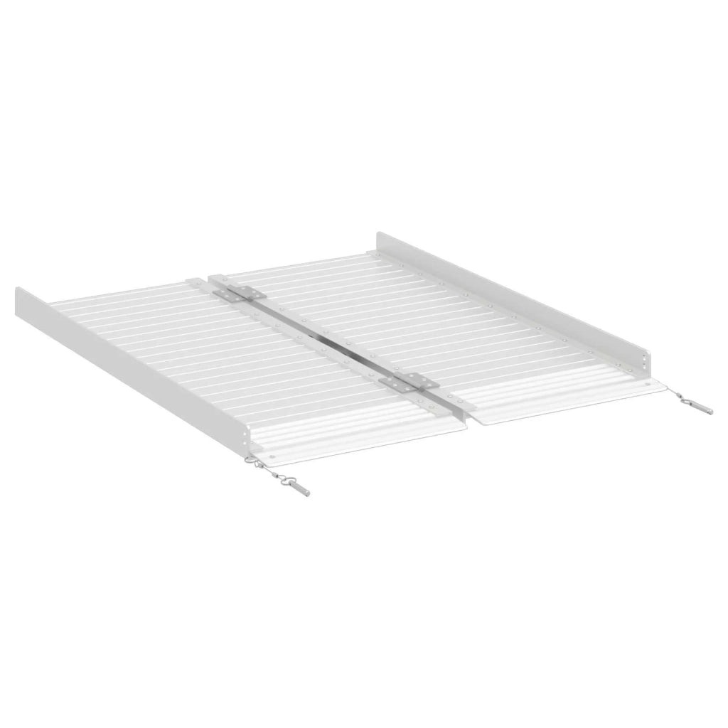 Rampa per sedia a rotelle 270 kg Argento 270 kg Alluminio CFW2089692