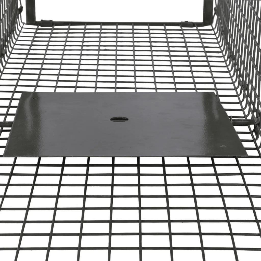Trappola per Animali Vivi con 2 Porte 170073