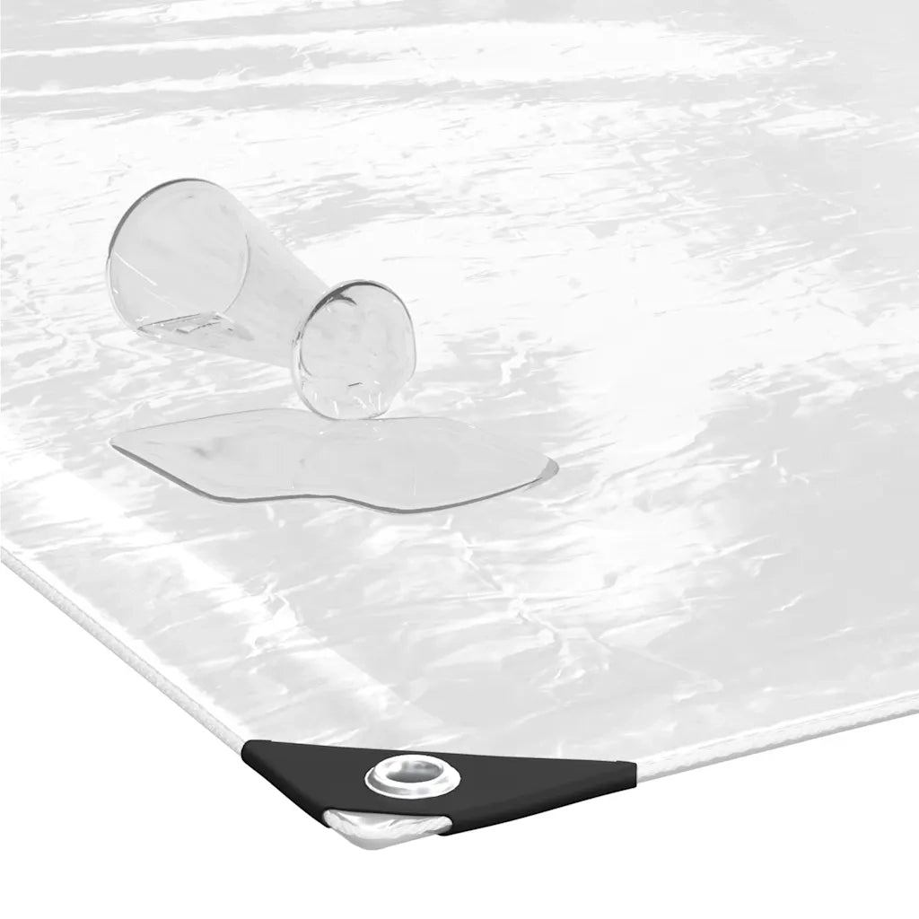 Telone Trasparente con Occhielli 1x2 m in PVC
