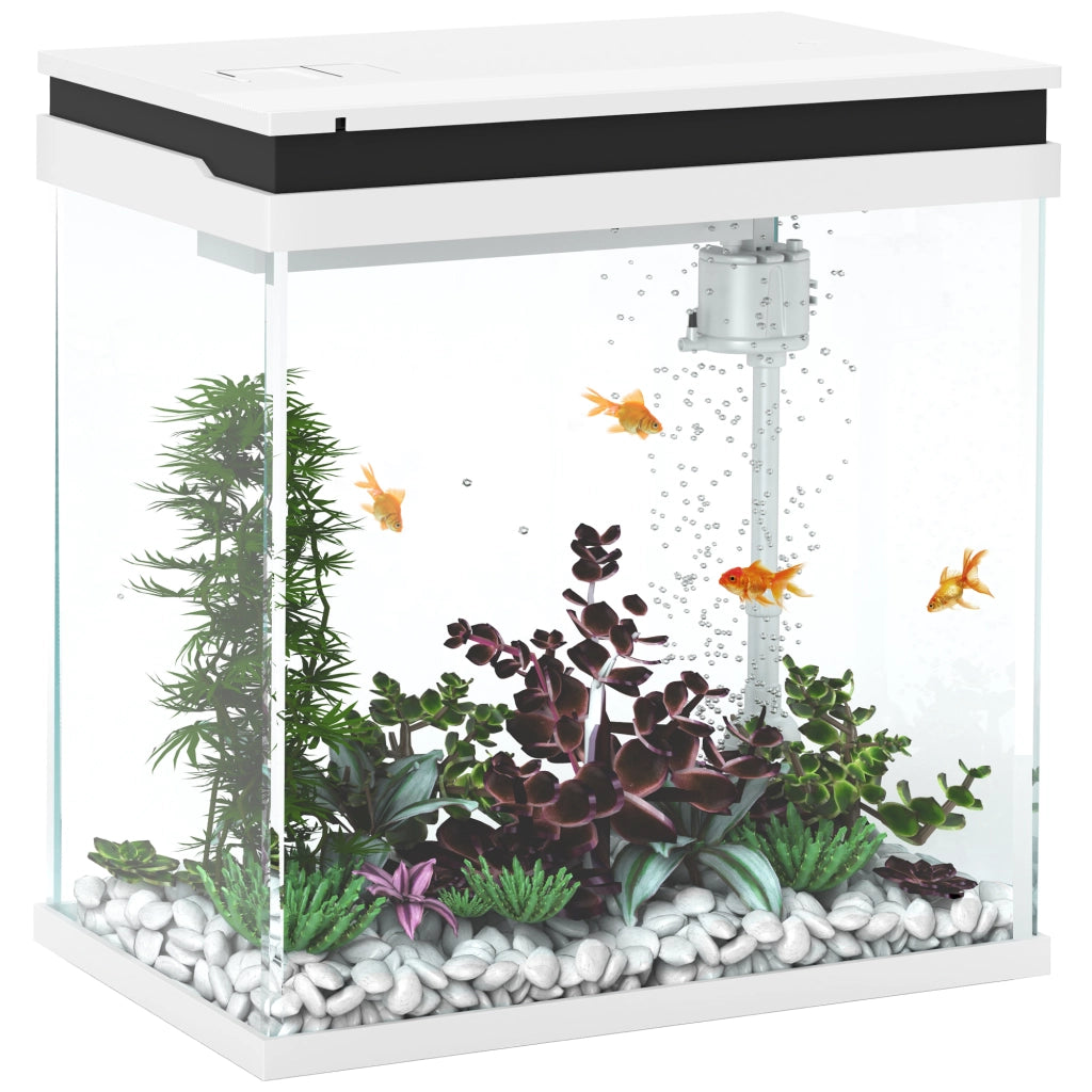 Acquario completo 14L in vetro con filtro e illuminazione LED ¨C Minimal ¨C 30x20x33 cm bianco