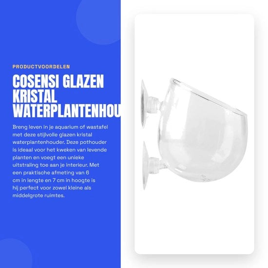 Contenitore per piante acquatiche in vetro - Aquarium - 2 becherini - Accessori per acquario - Diametro ca. 6 cm/7 cm - Leggero - Contenitore per piante acquatiche