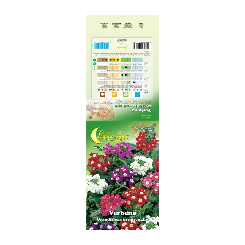 SEMI GARDEN VERBENA HYBRIDA- 10,0 pz