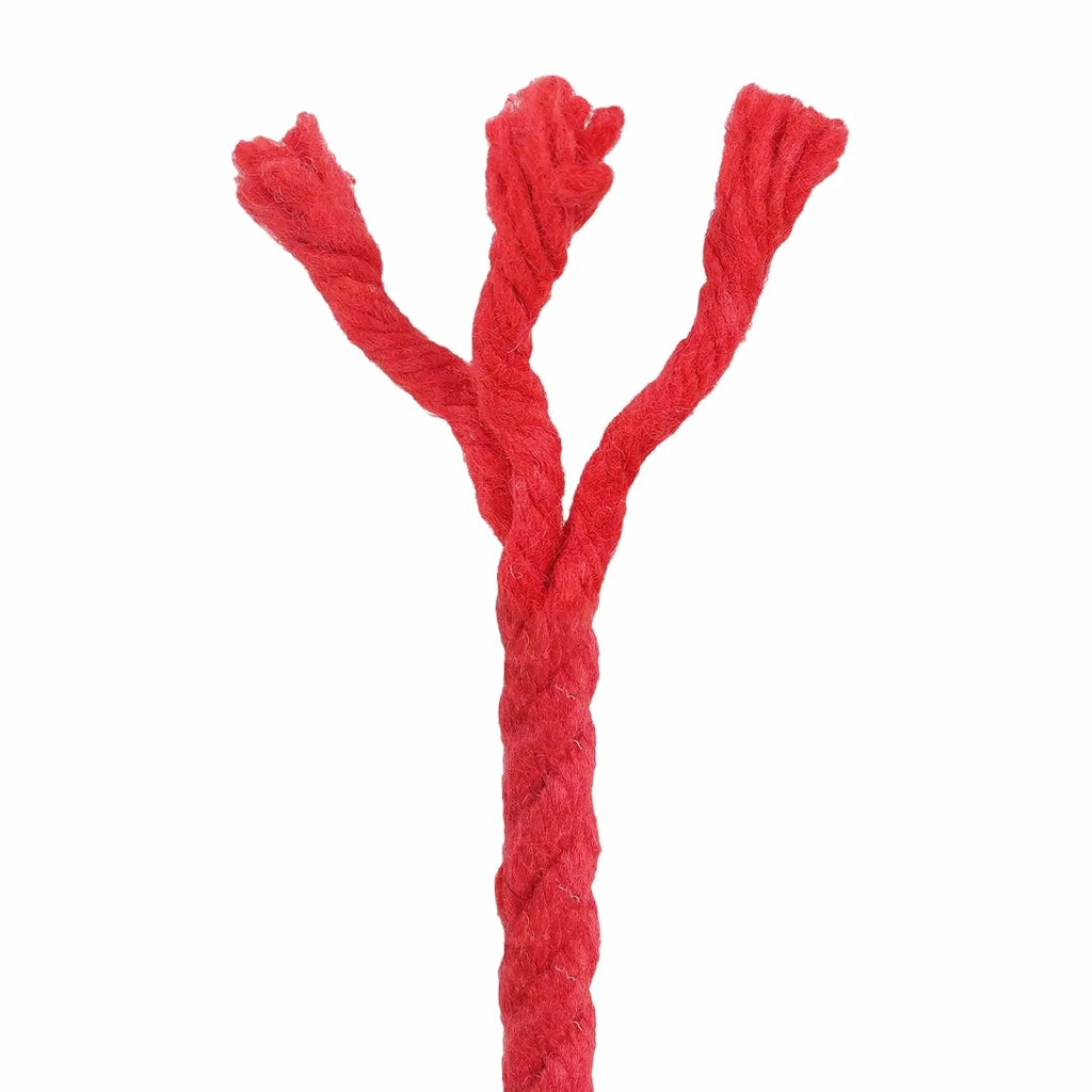 Corda | Fune di Cotone 25 m 6 Rosso 100% Cotone