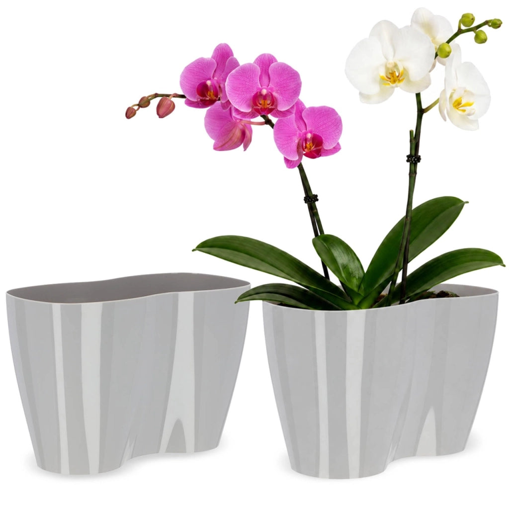 Vaso da fiori KADAX, Vaso da fiori, Vaso da fiori in plastica, Orchidea, 23 cm, Grigio