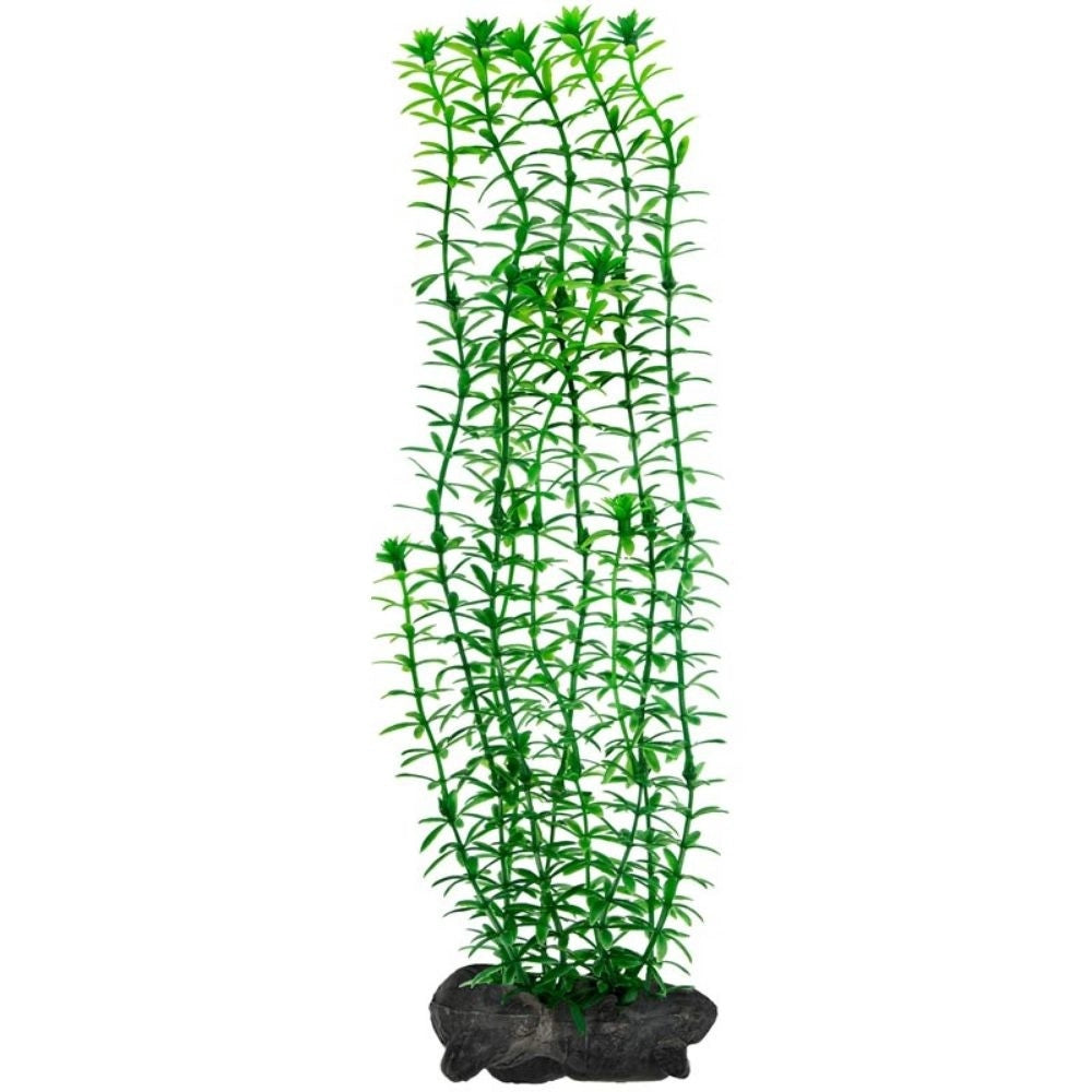 Tetra Pianta Decorativa in Plastica Modello Anacharis (Egeria Densa) Modello: L