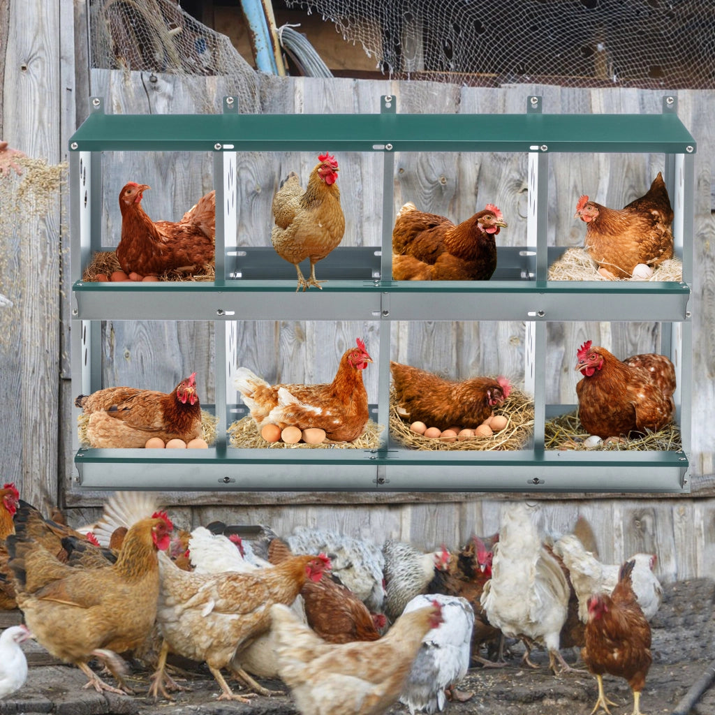 NIDO PER GALLINE 8 scomparti 28x25 cm in metallo verde