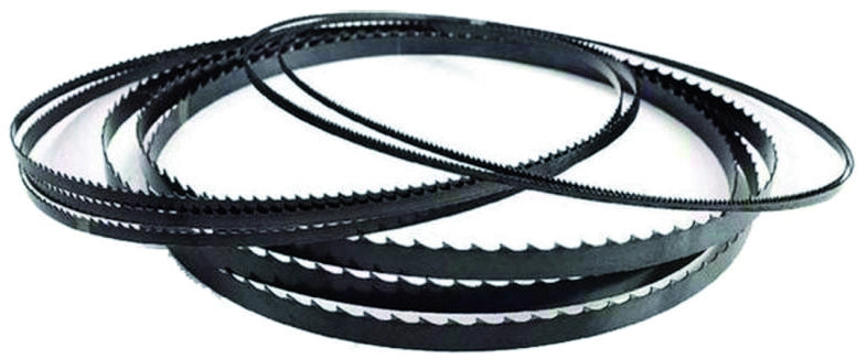 Femi LAMA PER SEGATRICE A NASTRO ''785XL'' mm. 1735x13x0,9 dentatura Z6/10