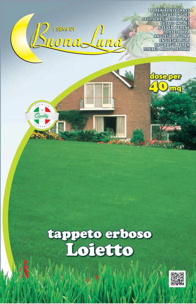 SEMI PRATO LOIETTO 1 KG- HORTUS SEMENTI- 1,0 pz