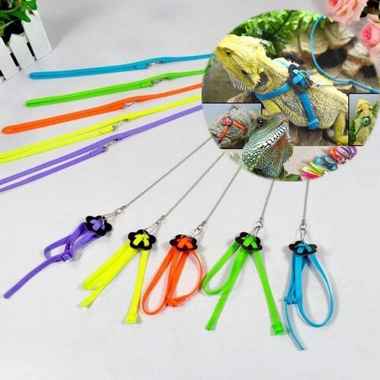 Harnas per rettile con cinturino flessibile e protezione anti-bite multicolore per giochi con la barba - Materiale morbido e colori variabili - Ottimizza il titolo con parole chiave rilevanti - Minimo 75 caratteri
