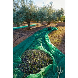 TELO RETE RACCOLTA OLIVE MT.6x10 ANTISPINA CON OCCHIELLI