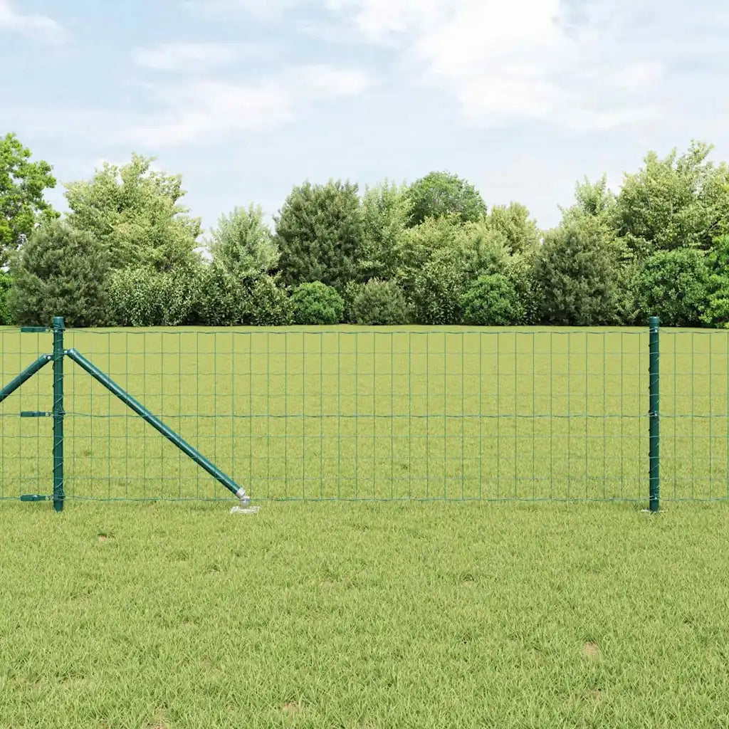 Recinzione con Posto Verde 0,8 x 25 m Acciaio