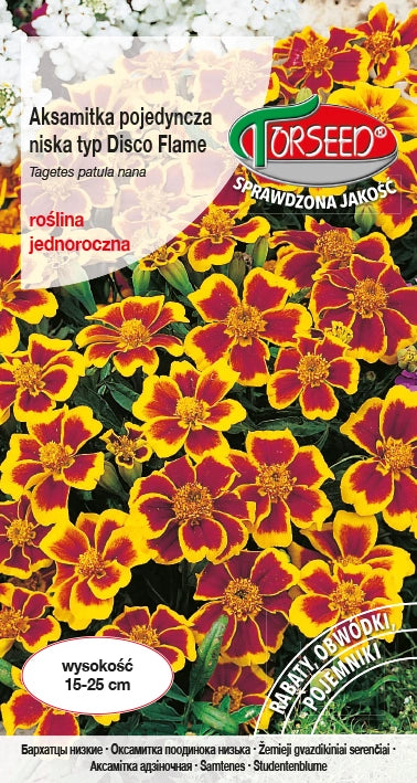 Calendula singola bassa, tipo Disco - Tagetes patula nana f Flame - miele e carminio 1g