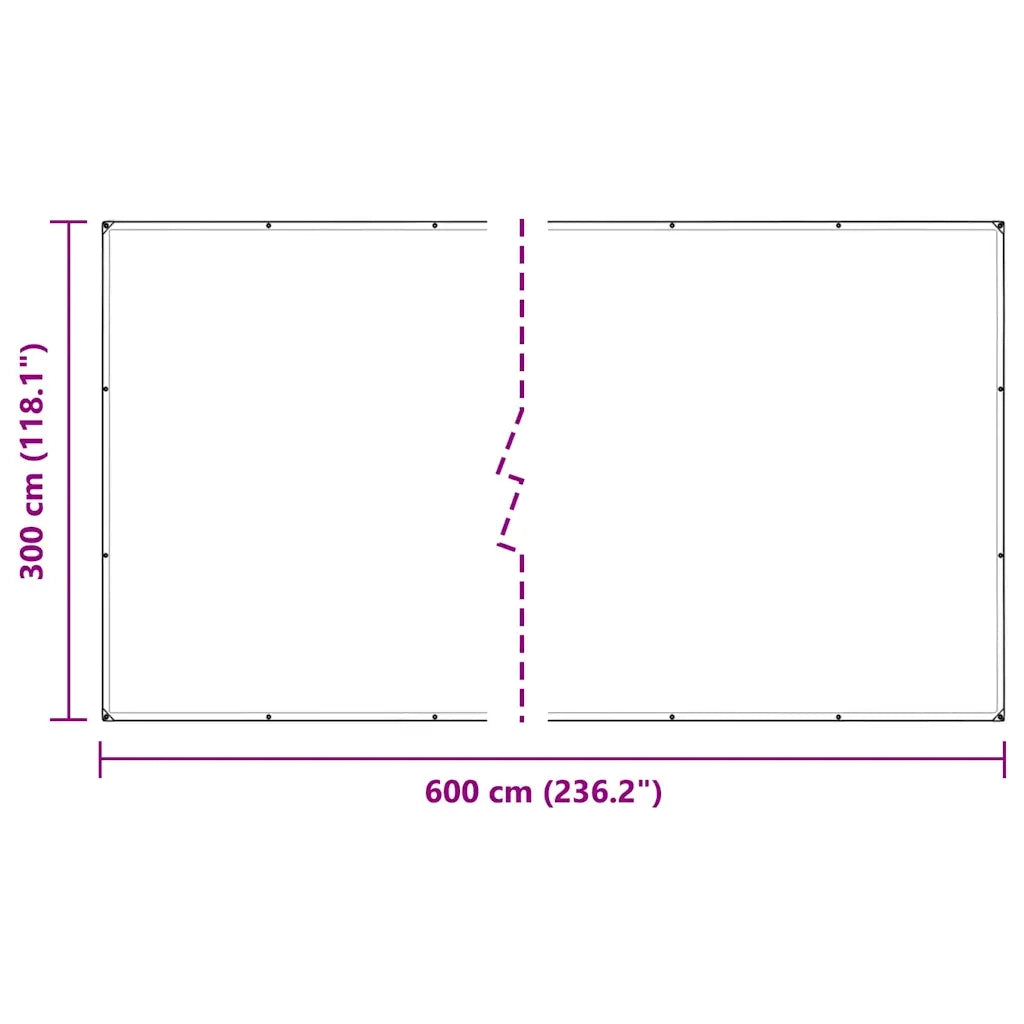 Telone Trasparente con Occhielli 3x6 m in PVC