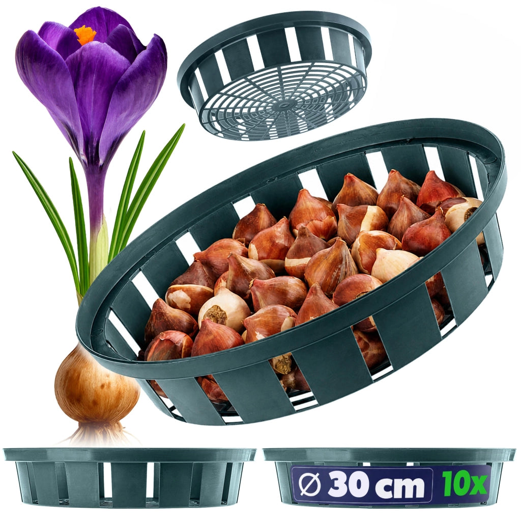 Cesti KADAX per piantare tulipani e bulbi da fiore, 30 cm, 10 pezzi