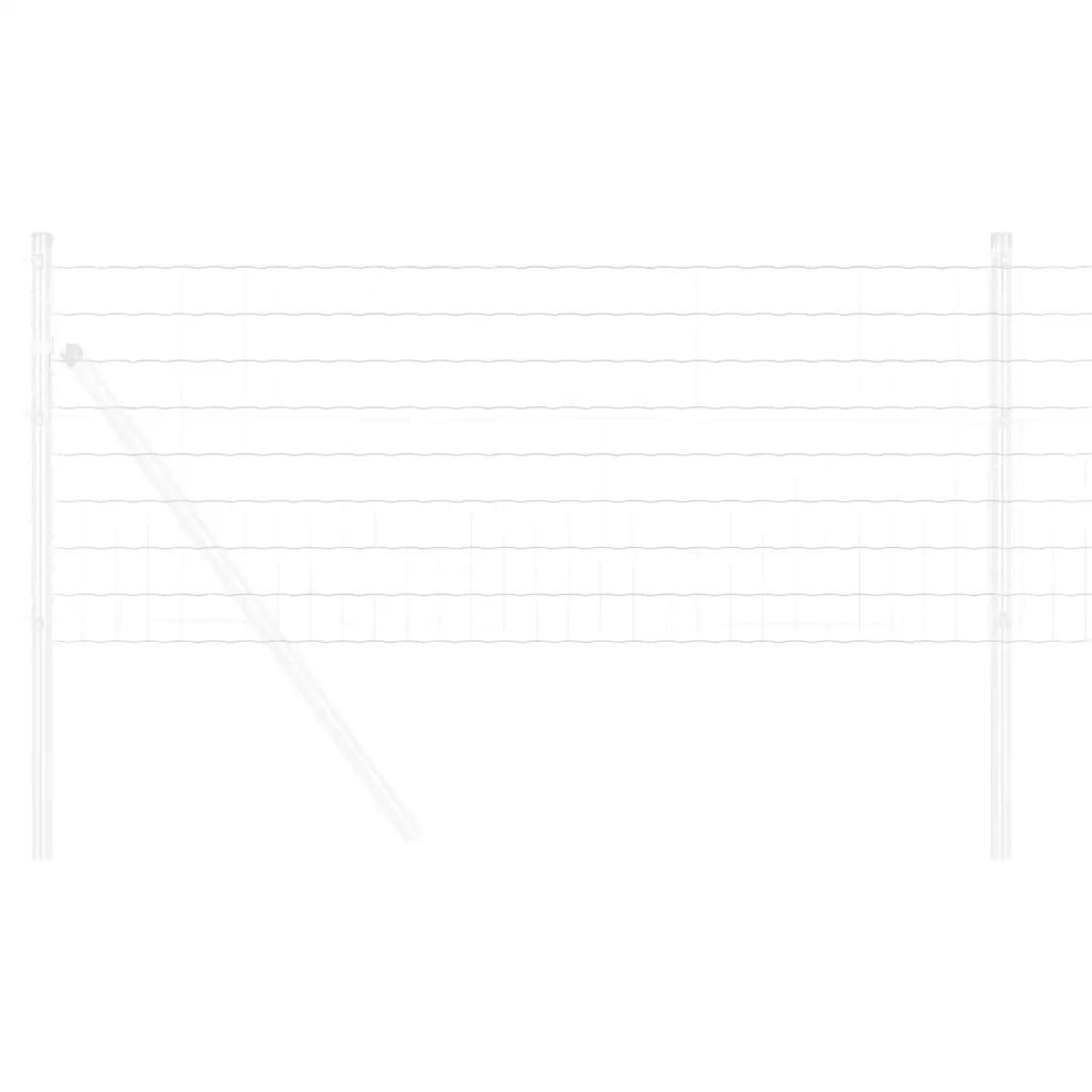 Recinzione da Giardino | Recinzione Euro 0,8 x 10 m Ferro rivestito in PVC