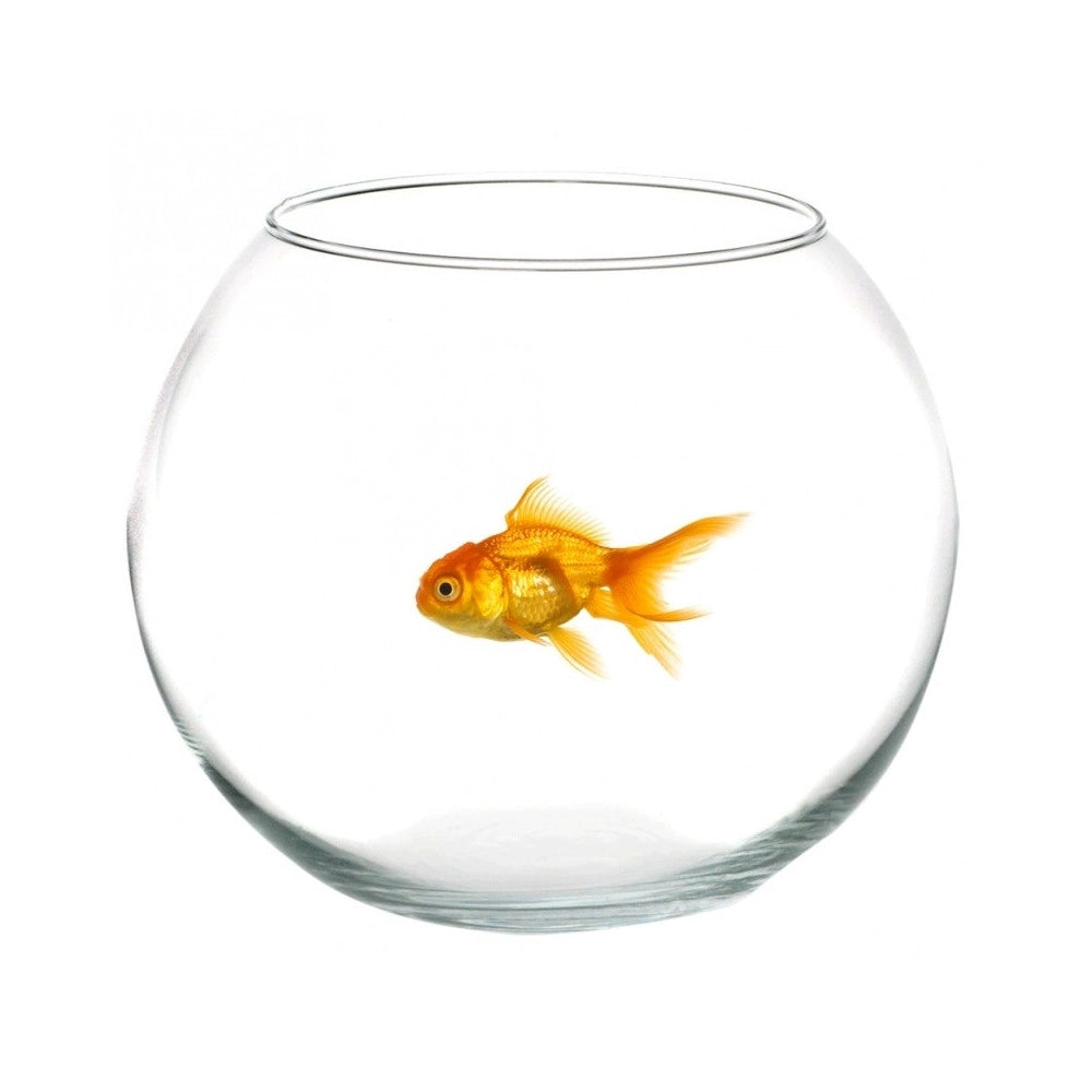 Trade Shop - Ampolla Boccia Per Pesci In Vetro 16 Cm Acquario Pesce Rosso Centrotavola -