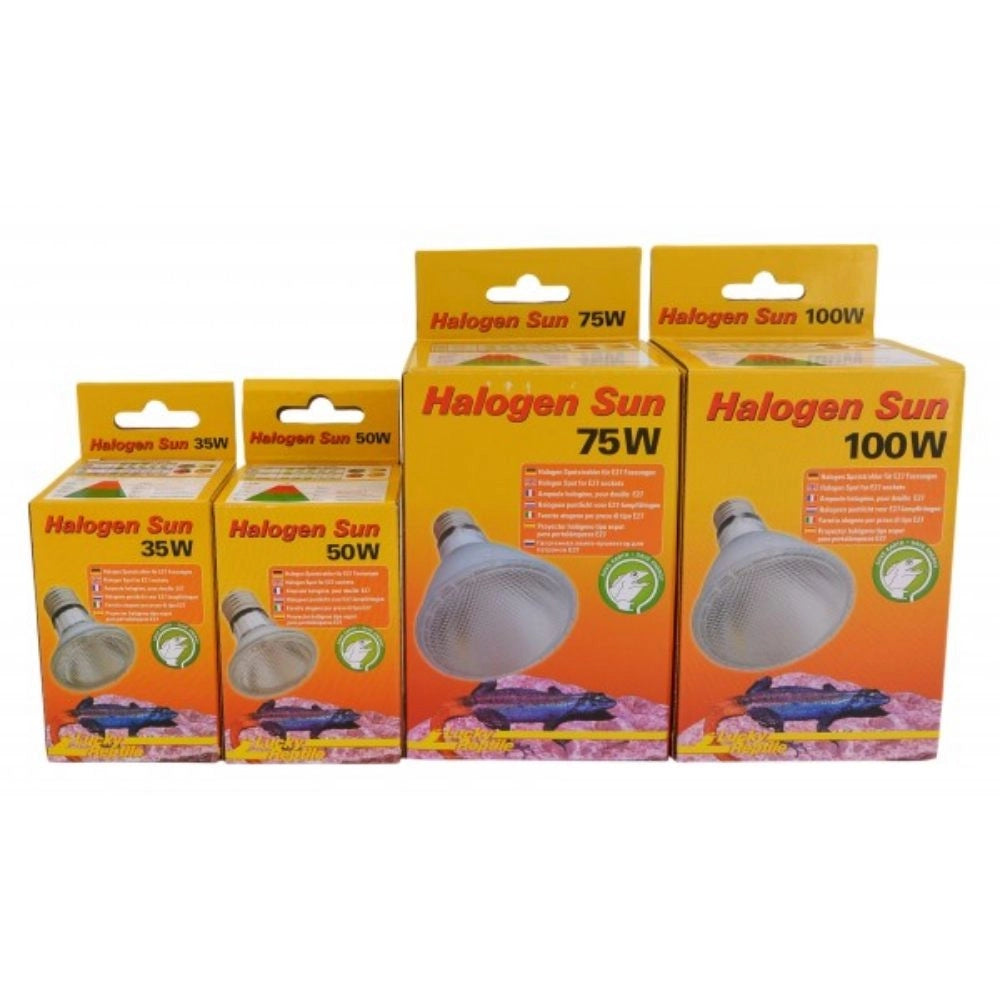 Lucky Reptile Halogen Sun - lampada alogena attacco E27 per rettili Wattaggio Riscaldatori e lampade terrario: 100W