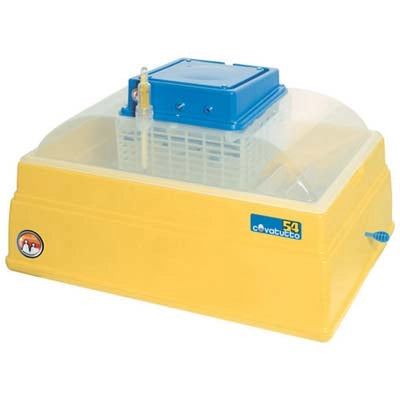 INCUBATRICE COVATUTTO  54 NOVITAL  UOVA 54 CM 60X26 H.CM 42