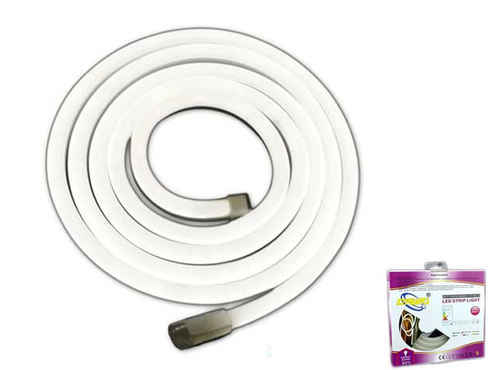 STRISCIA LED 2 MT METRI LUCE FREDDA FLESSIBILE TUBO DECORATIVO NEON IP65 12V