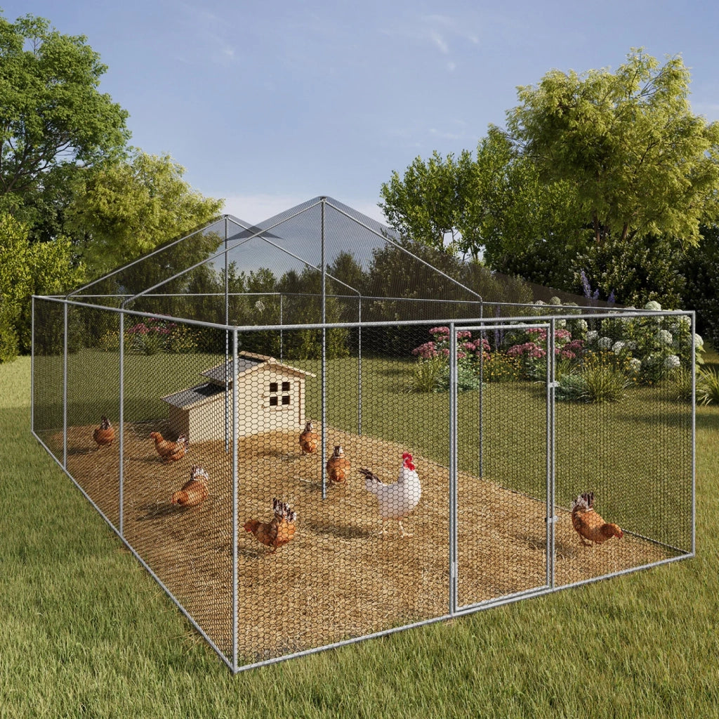 IDMarket - Voliera di 18 m² con recinto in rete metallica di 6 x 3 M per animali da cortile