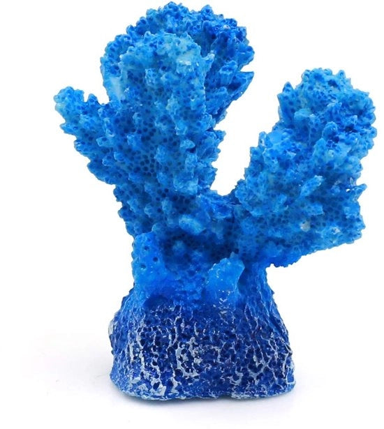 Mini Acquario per Betta - Decorazione Naturale - Blu - Ornamento Acquario - Design Realistico - Adatto per l'Uso Casalingo 

Modello: Hars Mini Plant Betta Aquarium Vissenkom 

Dimensioni: 
- Lunghezza: 10 cm
- Altezza: 8 cm