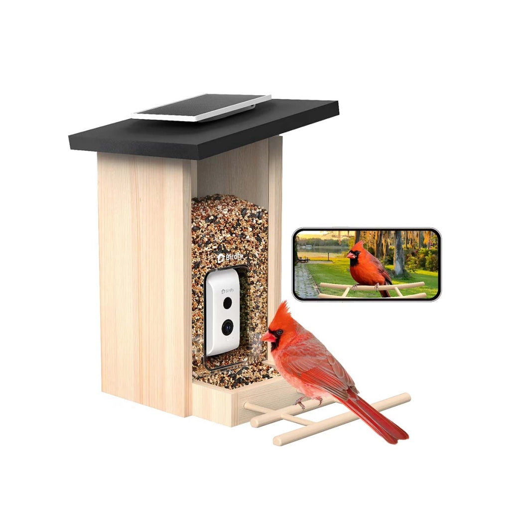 Mangiatoia per Uccelli con Telecamera AI e Pannello Solare Impermeabile IP66 Marrone / Beige Birdfy