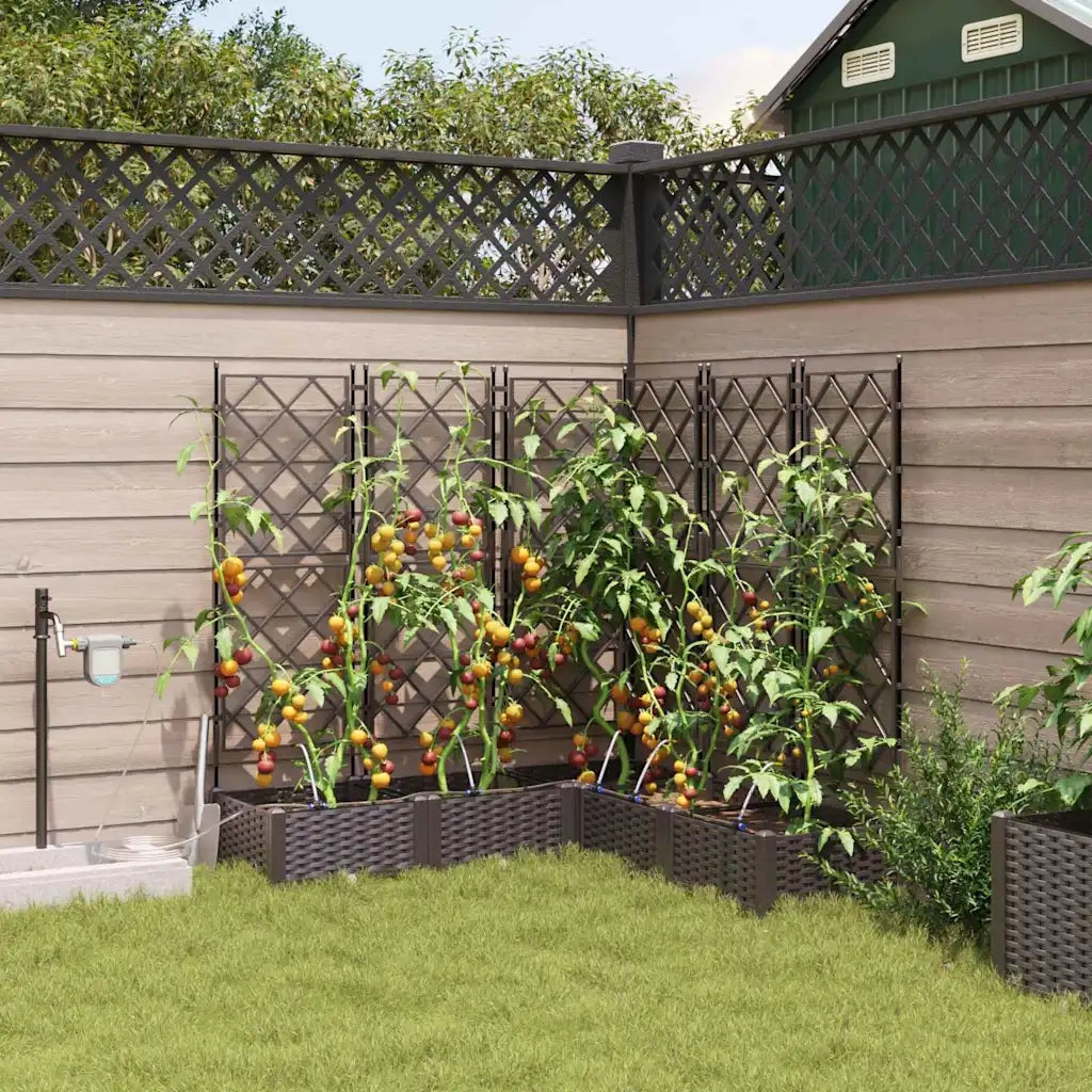 Fioriere | Cassetta per fiori | Vaso da giardino 5 pz Marrone 120 x 120 x 126 cm Plastica
