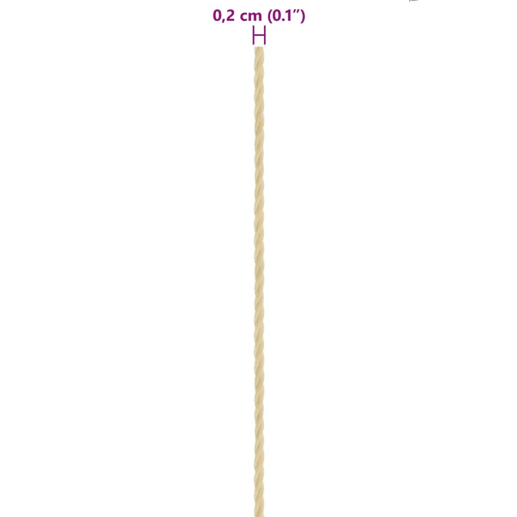 Corda da Barca 100 m 0.2 Naturale PP 42029655