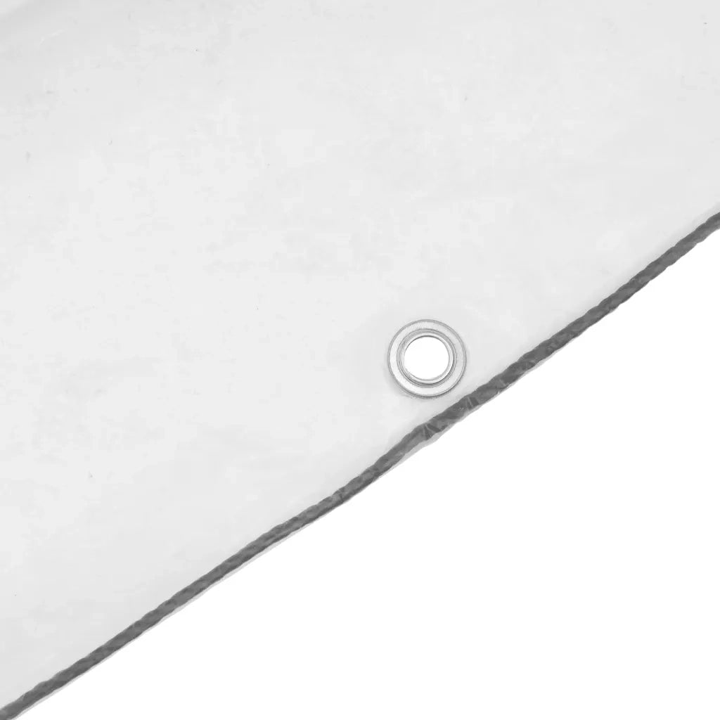 Telone Trasparente con Occhielli 10x12 m in Polietilene