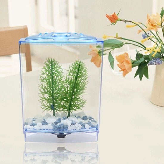 Mini acquario con alta trasparenza - Decorazione acquario - Pianta acquatica - Acquario in vetro trasparente - Ottima circolazione dell'aria - Incluso dispositivo di chiusura del sifone