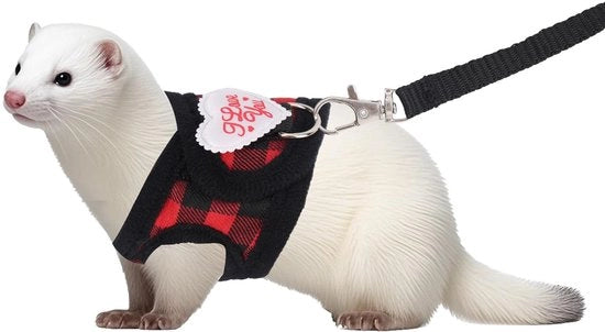 Cinturone per Piccoli Animali - Cinturone Adattabile con Tessuto Rosso - Corda Resistentente alla Rotura - Lunghezza 145cm - Adatto per Frettine/hamster - Cinturone per Animali