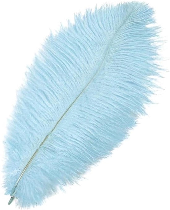 Benodigdheden per struzzo - 35-40 cm - Vere per decorazione - Colore blu chiaro - Adatto per vari progetti di creatività - 10 pezzi
