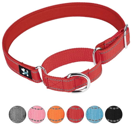 Cintura per cani adattabile - Martingale/Cintura - Neoprene imbottito - Nylon respirabile - Dimensioni S/M/L - Addestramento alla sicurezza