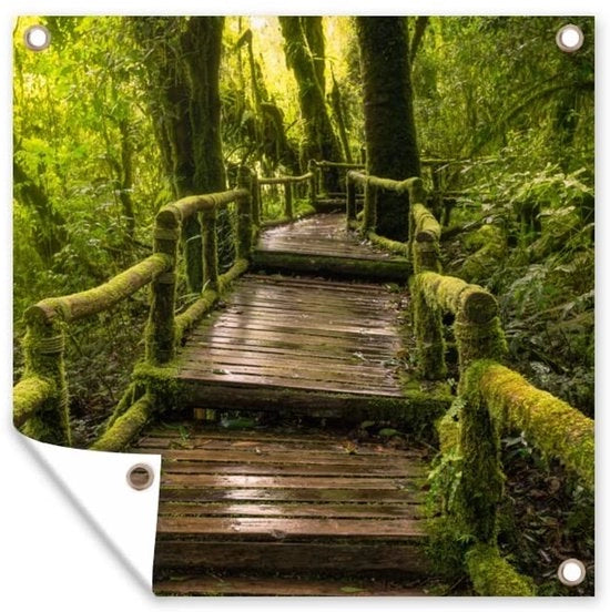 Poster per esterno 100x100 cm - Immagine Regenwoud/Jungle - Copertura per esterno - Resistente ai raggi UV - Anelli extra robusti - Installazione facile