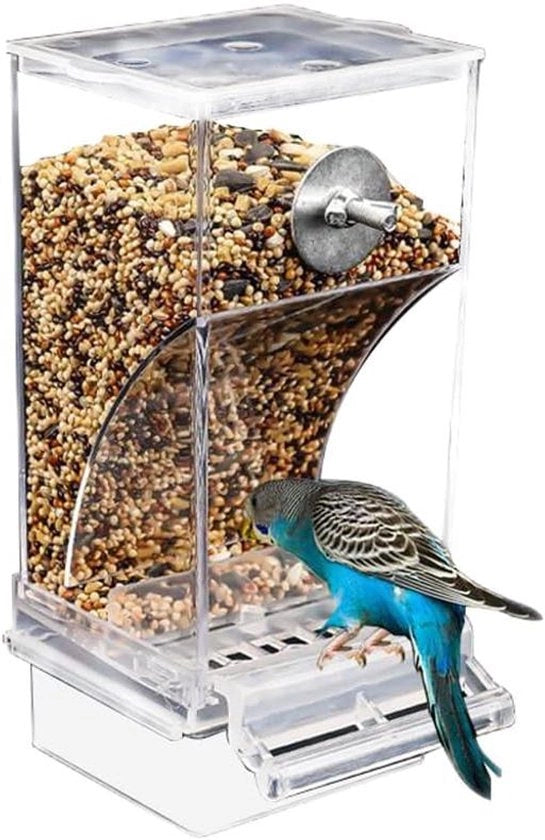 Automa di alimentazione per uccelli, idoneo per parrocchetti, canarini, parrocchetti, merli - Tanichera con contenitore idrorepellente e accessori