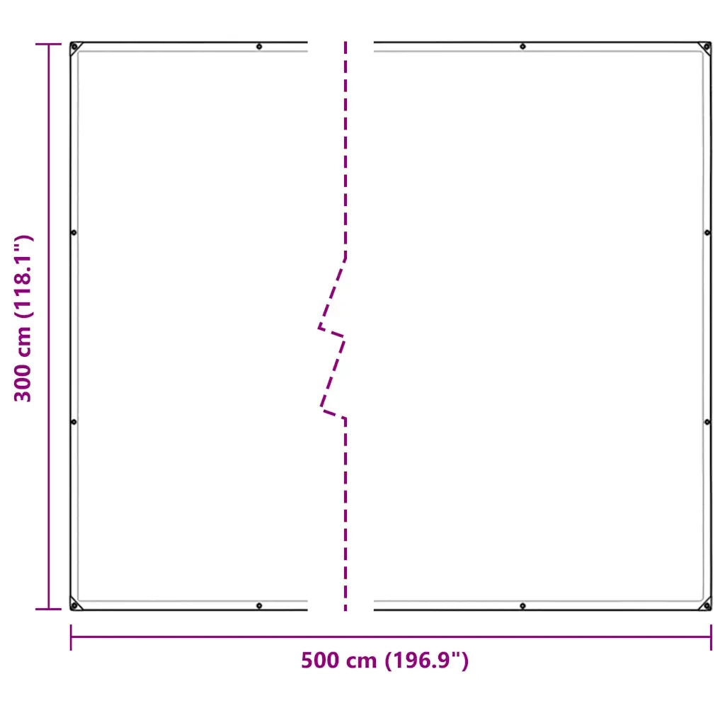 Telone Trasparente con Occhielli 3x5 m in PVC