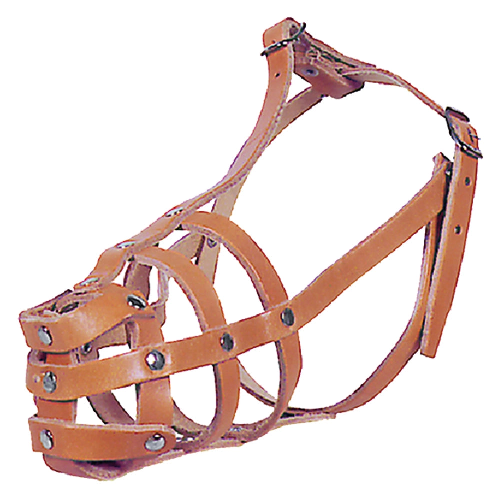 MUSERUOLA PER CANE N. 3- 6 pezzi  - BricoGo