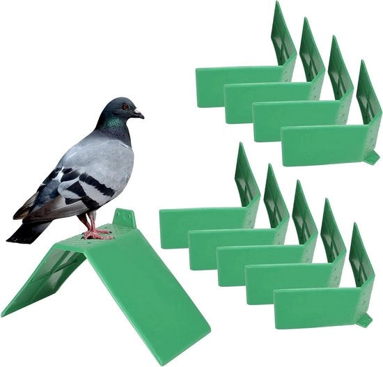 Scatola per colombi - 10 pezzi di supporto per colombi - sostegno per uccelli in plastica con spazio di rilascio.