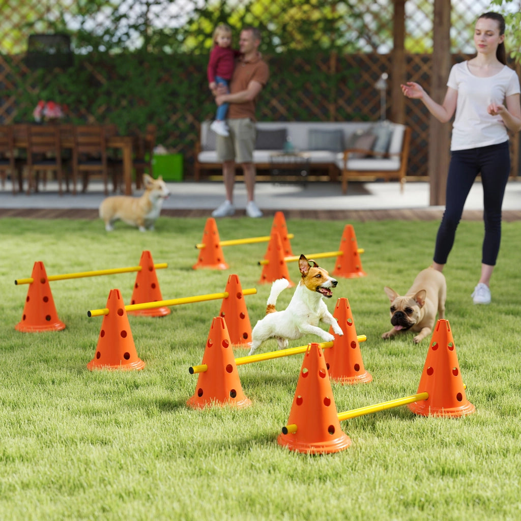 Set Agility per Cani 6 Pezzi ¨C Minimal ¨C Arancione