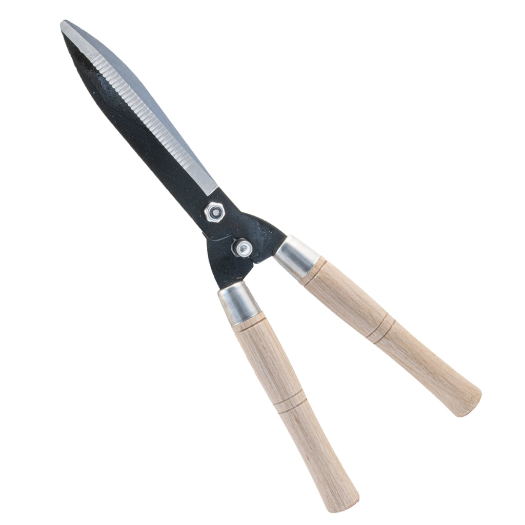 Forbice Siepe Professionale