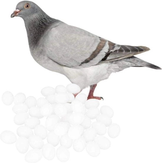 50 uova di plastica completa per colombi - uova false per assistenza riproduttiva - allevamento e incubazione.