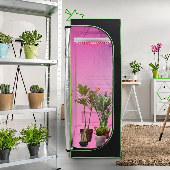 Tenda per coltivazione - 60x60x180 cm - pellicola riflettente all'interno - verdusterizzante - nero-verde