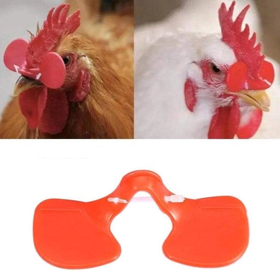 100 pezzi di occhiali anti-pik per polli e anatre, occhiali per polli con protezione per gli occhi.